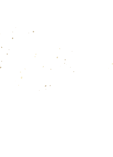 香ばしいサックサクの衣